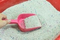 Woman hand is cleaning of cat litter box with pink scoop.