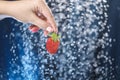 Woman hand close up holding red strawberry under drops of water. Girl showing red strawberry on a water background. Healthy lifest Royalty Free Stock Photo