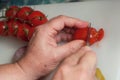 Woman hand cutting fresh tomatoes on plastic cutting board Royalty Free Stock Photo