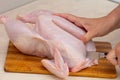 Woman hand cutting whole raw chicken