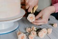 Woman hand decorates the pink wedding birthday cake with fresh flowers. Close up pastry chef decoration delicious dessert dish Royalty Free Stock Photo