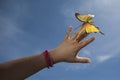 Woman hand gently holding yellow butterfly Royalty Free Stock Photo