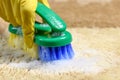 Woman hand in glove cleans carpet in the room, using brush. Close up. Cleaning concept Royalty Free Stock Photo