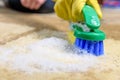 Woman hand in glove cleans carpet in the room, using brush. Close up. Cleaning concept Royalty Free Stock Photo