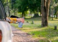 Woman hand hold a blue bottle from car window and look like she will throw the bottle out to side rode with concept of safe Royalty Free Stock Photo