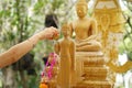 Woman hand hold a bowl to pouring water to Buddha in Songkarn festival.