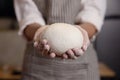 Woman Hand Hold the Dough Before Putting the Dough into the Oven Royalty Free Stock Photo