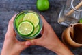 Woman hand hold lemons and lime slices for detox water Royalty Free Stock Photo