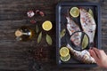 Woman hand hold magnifier over bream Royalty Free Stock Photo