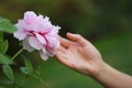 Woman hand hold red pink colorful peony under sunshine in summer spring autumn park beautiful scenery veiw scene pretty flower Royalty Free Stock Photo