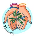 Woman hand hold tea leaves on blue round backdrop