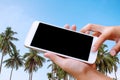 Woman hand hold and touch screen smart phone over blurred beautiful blue sky with palm tree on the beach background. Royalty Free Stock Photo