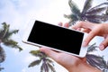 Woman hand hold and touch screen smart phone over blurred beautiful blue sky with palm tree on the beach background. Royalty Free Stock Photo