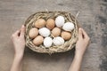 Woman hand holding basket in eggs. Royalty Free Stock Photo