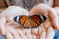 Woman hand holding a beautiful butterfly.