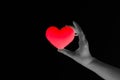 Woman hand holding blank red heart on dark background