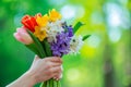 Woman hand holding bunch of spring flowers outdoors. Beautiful bouquet with tulips, hyacinths, daffodils in female hands Royalty Free Stock Photo