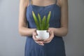 Woman hand holding cactuse