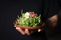 Woman hand holding clay plate full of fresh sunflower microgreens sprouts decorated with flowers