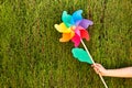 Woman hand holding a colored big pinwheel on a cypress background