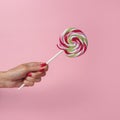 Woman hand holding colorful swirling lollipop on pink background