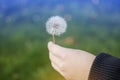 Woman hand holding dandelion seed with bokeh of green grass background in autumn Royalty Free Stock Photo