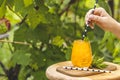 Woman hand holding drinking straw over orange drink with ice on summer sunny garden background. Fresh cocktail drinks with ice Royalty Free Stock Photo