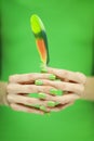 Woman hand holding exotic bird feather Royalty Free Stock Photo