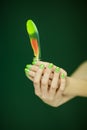 Woman hand holding exotic bird feather Royalty Free Stock Photo