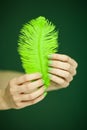 Woman hand holding exotic bird feather Royalty Free Stock Photo