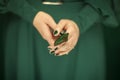 Woman hand holding exotic butterfly wing, sensual studio shot Royalty Free Stock Photo