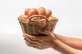 Woman hand holding fresh eggs collected inside wicker basket, suitable as a food ingredient or giving present. Royalty Free Stock Photo