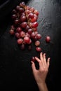 Woman hand holding a grape from a bunch of red grapes top view on dark background Royalty Free Stock Photo