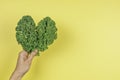 Woman hand holding green heart made of fresh curly kale cabbage leaves over yellow background. Love of vegetarian, vegan Royalty Free Stock Photo