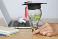 Woman hand holding green tree growing in light bulb with graduates hat, Education concept Royalty Free Stock Photo