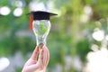 Woman hand holding green tree growing in light bulb with graduates hat on natural green background, Education concept Royalty Free Stock Photo