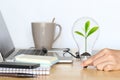 Woman hand holding green tree growing in light bulb with laptop computer, Education concept Royalty Free Stock Photo