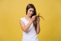 Woman hand holding her long hair with looking at damaged splitting ends of hair care problems. Royalty Free Stock Photo