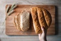 Woman hand holding a home made and baked grain bread on a wooden table with floral decoration Royalty Free Stock Photo