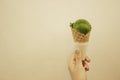 Woman hand holding an ice cream matcha green tea