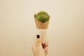 Woman hand holding an ice cream matcha green tea