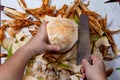 Woman hand holding knife with coconut peeling