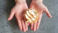 Woman hand holding lemon pie on grey background Royalty Free Stock Photo