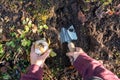 Woman hand holding little shovel digging a hole in the ground to plant a big flower seed for next year. Royalty Free Stock Photo