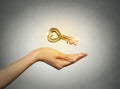 Woman hand holding offering new golden key Royalty Free Stock Photo