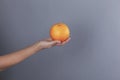 Woman hand holding orange Royalty Free Stock Photo