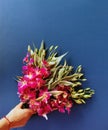 Woman hand holding orchid flowers. Bouquet of flowers for congratulations. Royalty Free Stock Photo