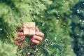 Woman hand holding out small gift through green fir tree branches in the forest during snowfall at winter. Christmas Royalty Free Stock Photo