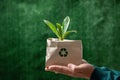 Woman hand holding paper bag with green plant grow. indoor small plants. Succulents in an eco paper bag. Eco friendly reusable eco Royalty Free Stock Photo