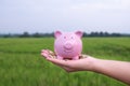 Woman hand holding Pink piggy bank on sky background, step up growing business to success and saving for retirement concept Royalty Free Stock Photo